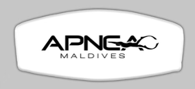Apnea Neoprene Mask Strap - White