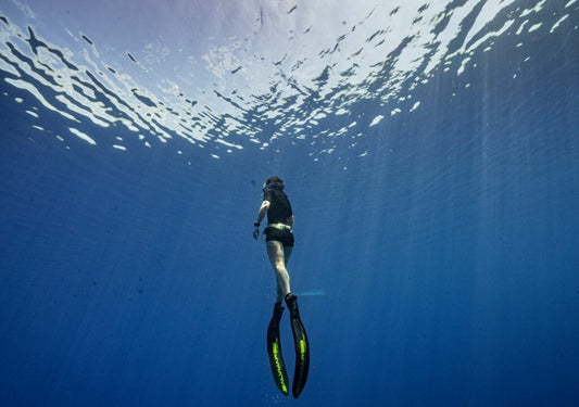 Top 5 Best Freediving Fins for Beginners & Everyday Use (2026 Guide)