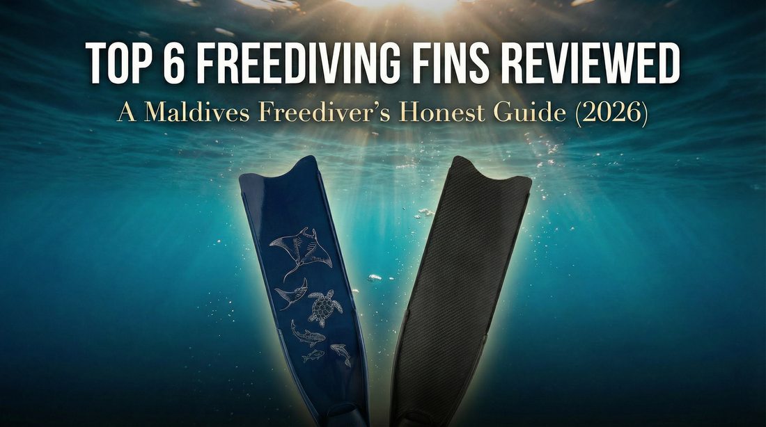 Top 6 Freediving Fins Reviewed: Beginner to Pro Guide (2026)