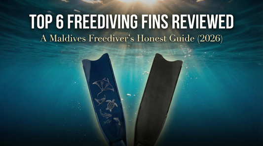 Top 6 Freediving Fins Reviewed: Beginner to Pro Guide (2026)