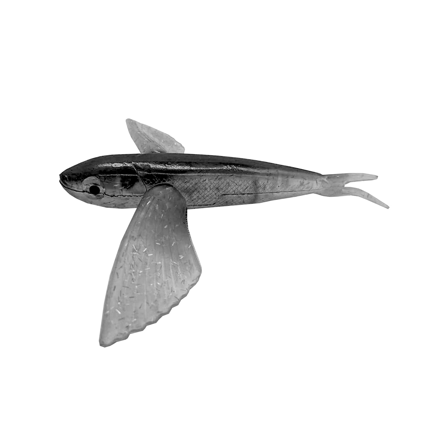 Siren Flying Fish - Trolling